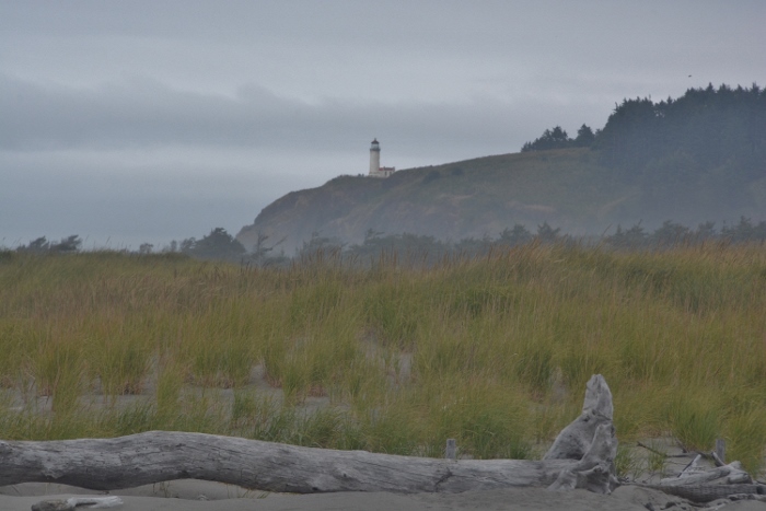 Washington's North Jetty